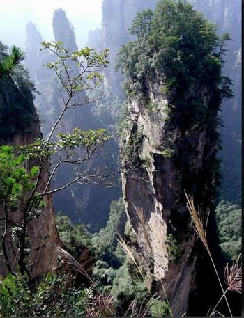 長沙出發(fā)到張家界溶洞奇觀黃龍洞、國家森林公園、袁家界、峰林之王天子山三日游（早班）
